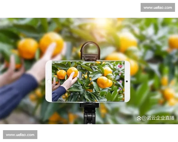 确保赛事直播稳定性优化技术及策略探索与应用 - 副本 (2)
